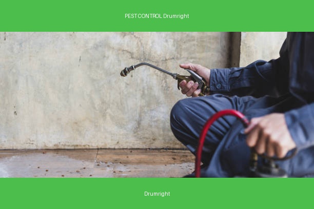 PEST CONTROL Drumright